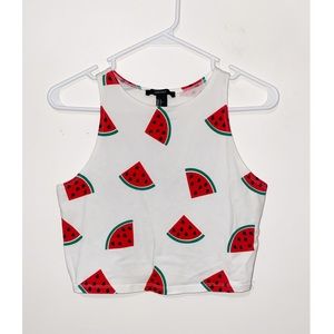 Watermelon Crop Top